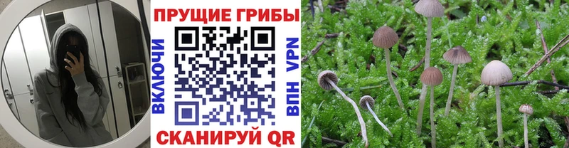 Галлюциногенные грибы ЛСД  Спасск-Дальний 